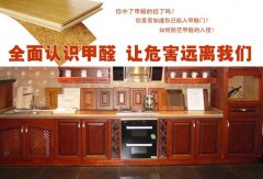 家里甲醛竟超标严重 竟是橱柜惹的祸