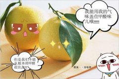 去除甲醛的方法多种多样，哪种最实用靠谱